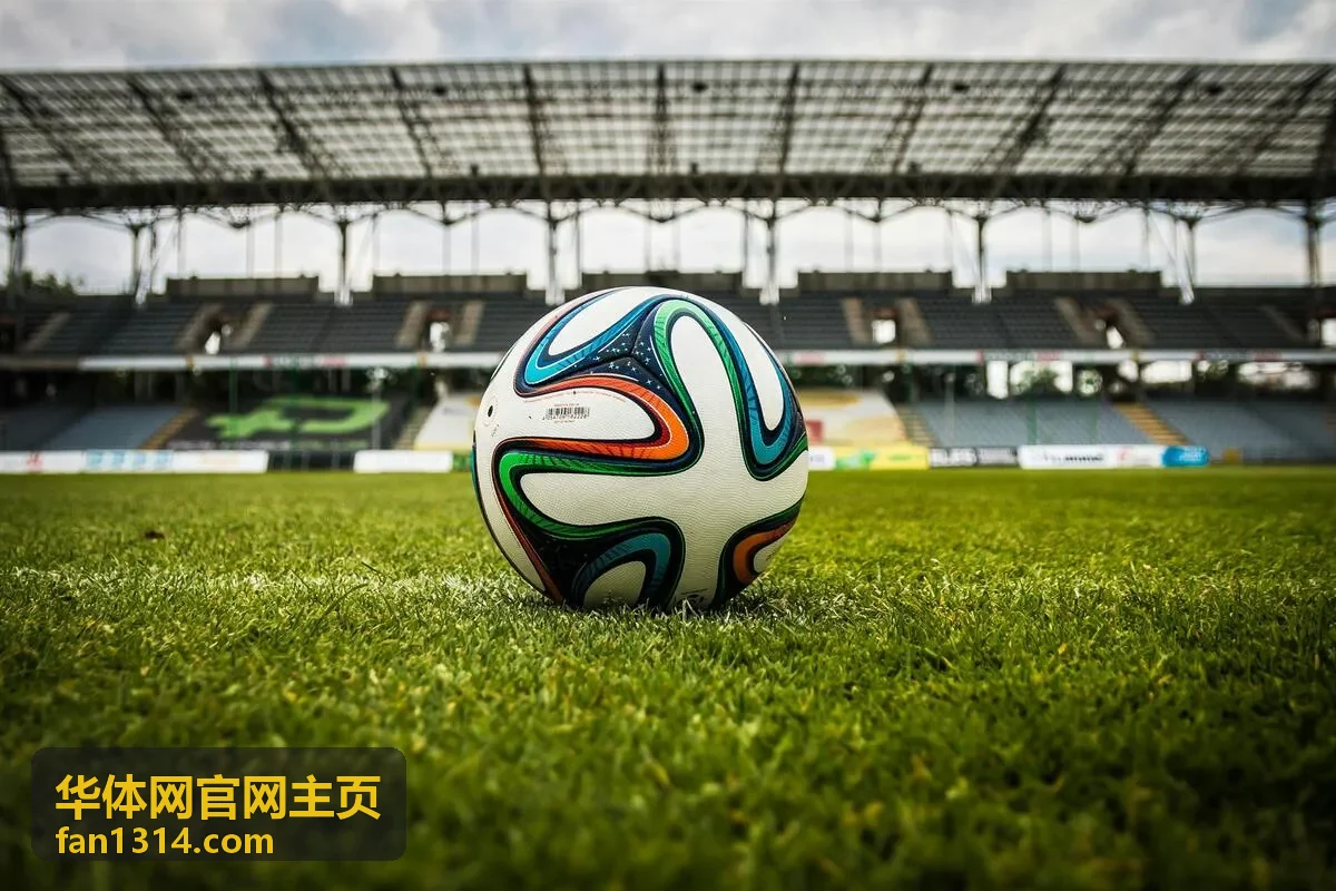 华体网官网主页场馆培训频道配图